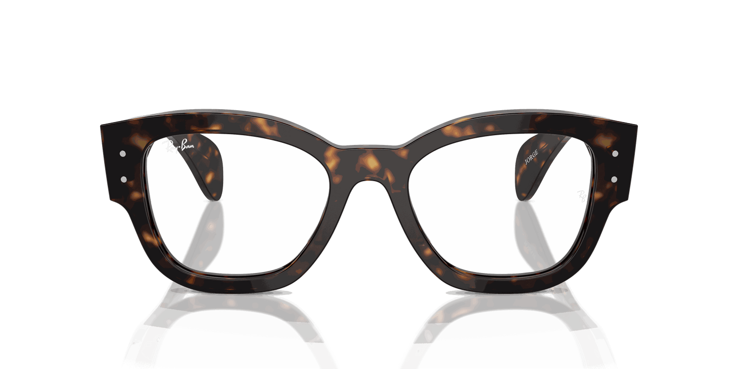 [Clear Lenses, Polished Havana Frame]