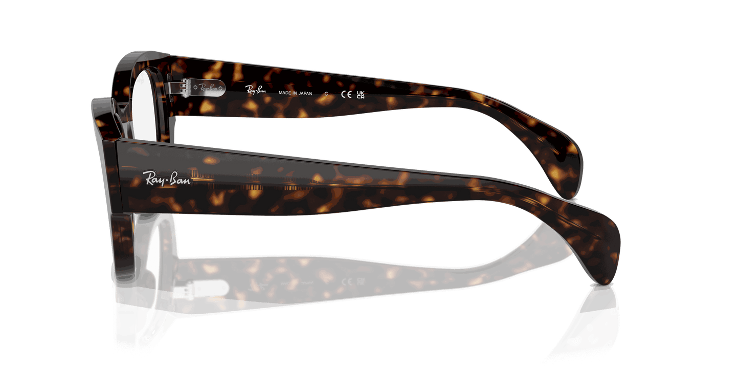 [Clear Lenses, Polished Havana Frame]