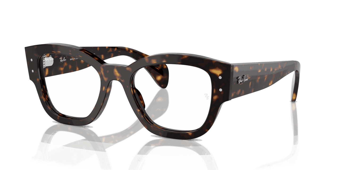 [Clear Lenses, Polished Havana Frame]
