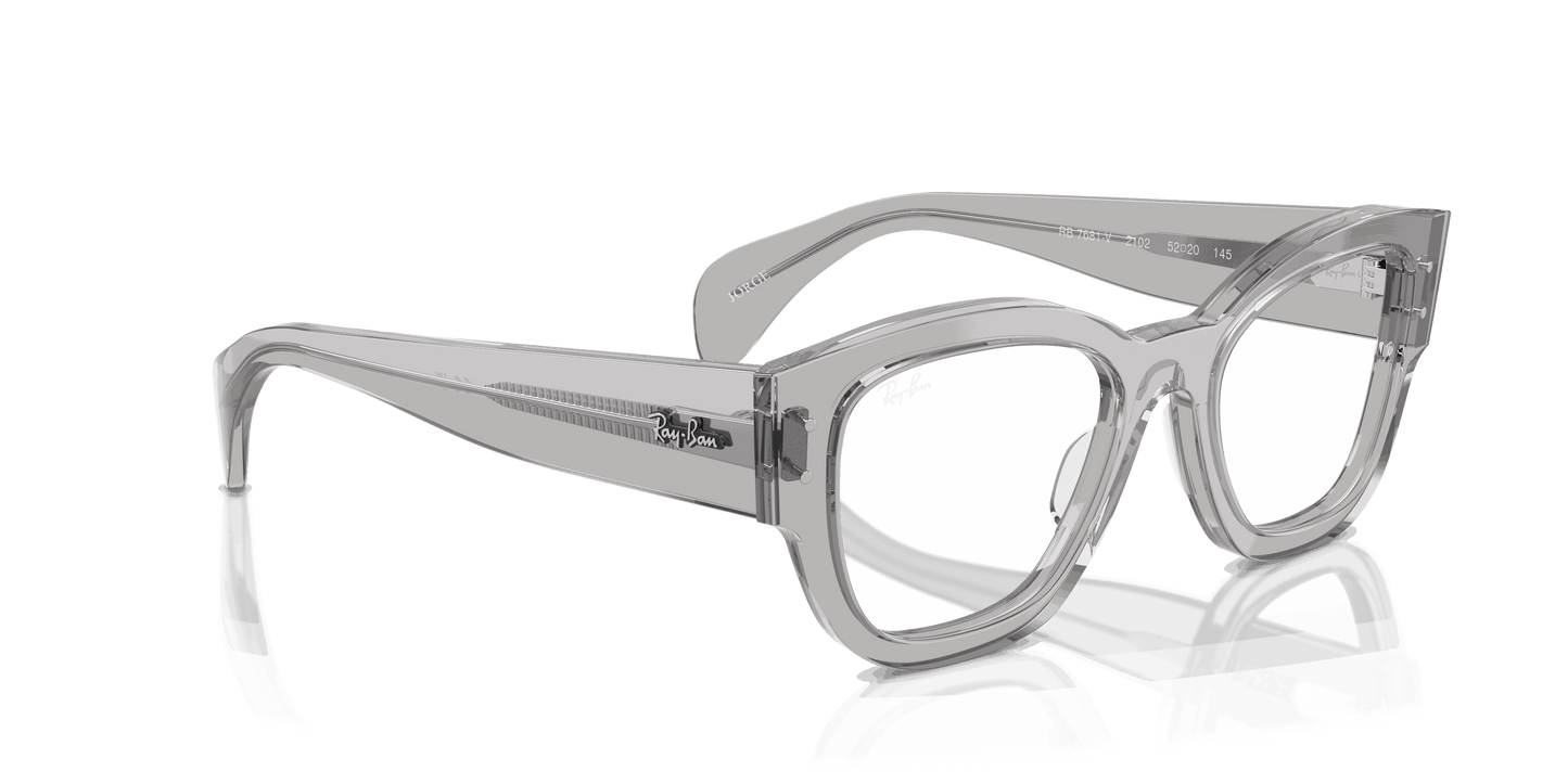 [Clear Lenses, Polished Transparent Grey Frame]