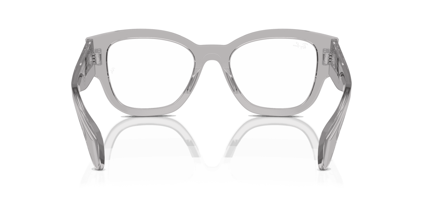 [Clear Lenses, Polished Transparent Grey Frame]