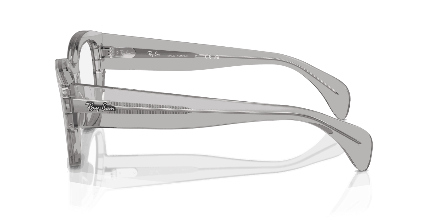 [Clear Lenses, Polished Transparent Grey Frame]