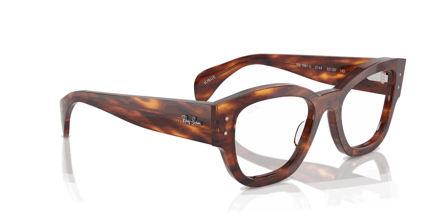 [Clear Lenses, Polished Striped Havana Frame]
