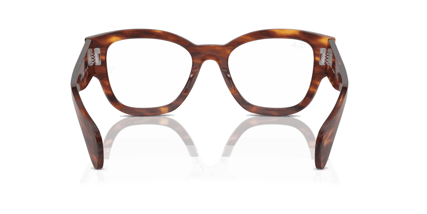 [Clear Lenses, Polished Striped Havana Frame]