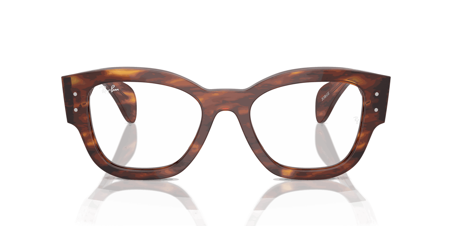 [Clear Lenses, Polished Striped Havana Frame]