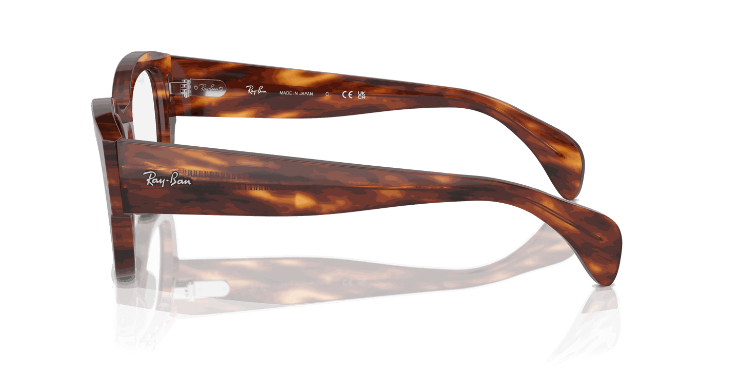 [Clear Lenses, Polished Striped Havana Frame]