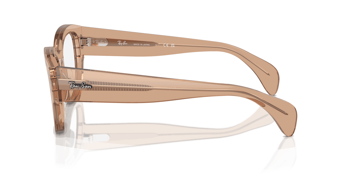 [Clear Lenses, Polished Transparent Light Brown Frame]