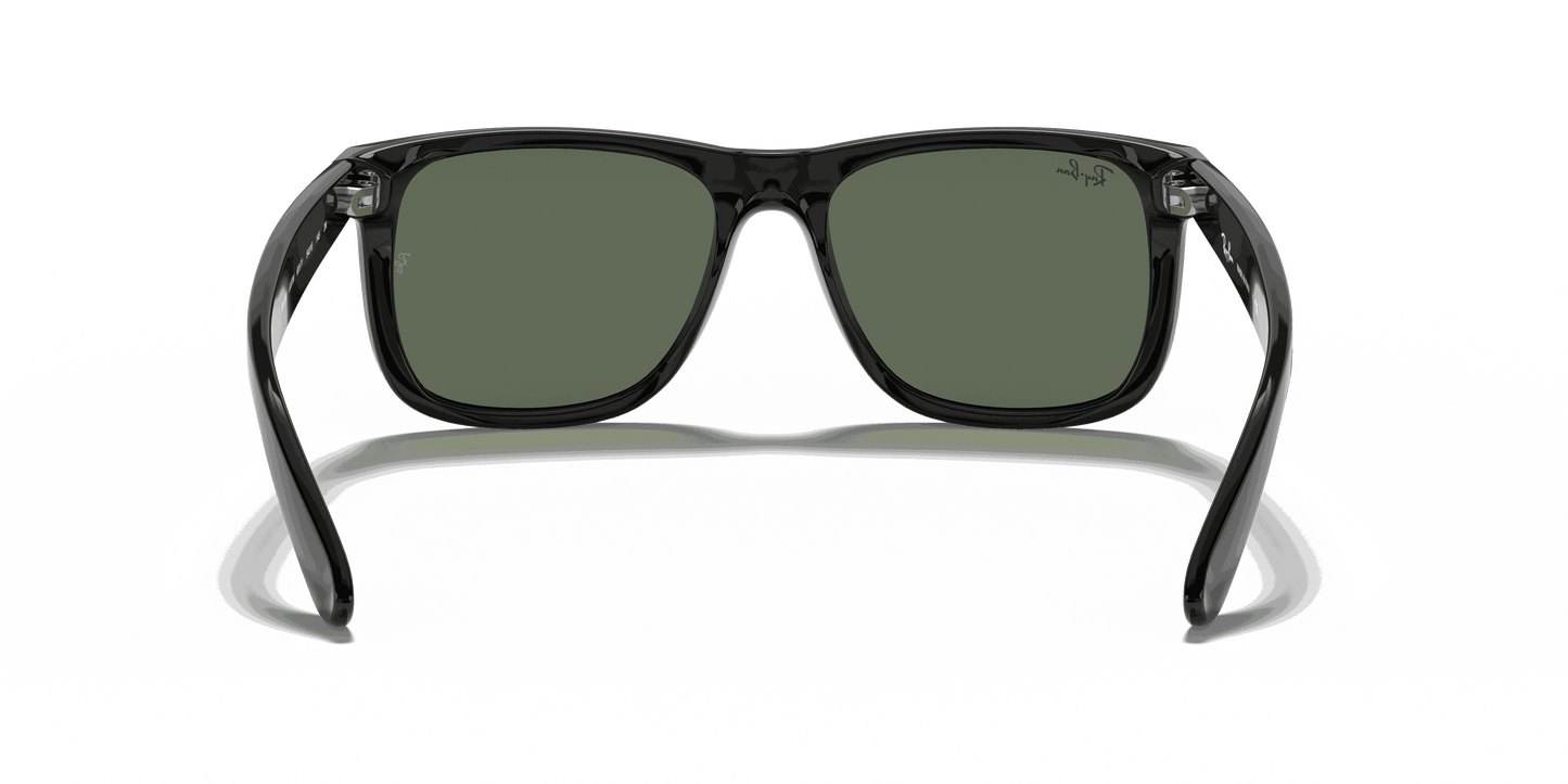 [Dark Green Lenses, Polished Black Frame]
