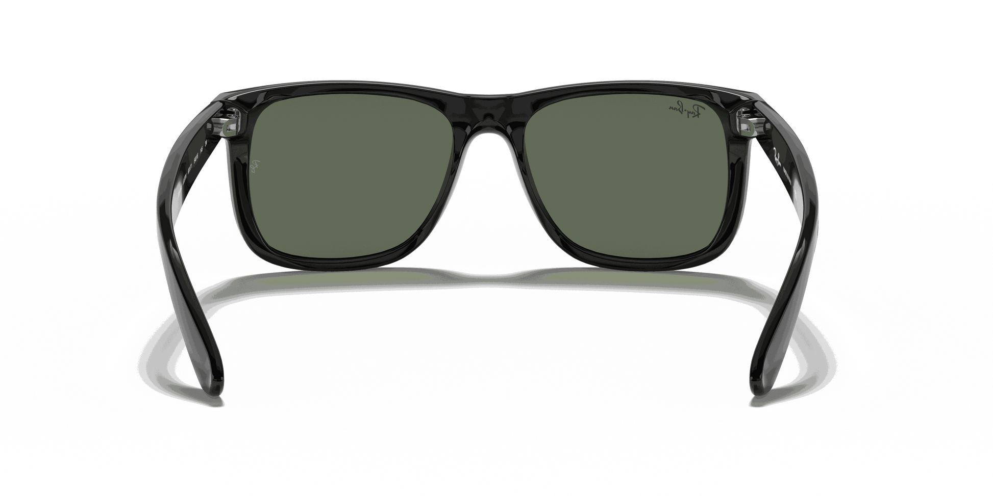[Dark Green Lenses, Polished Black Frame]