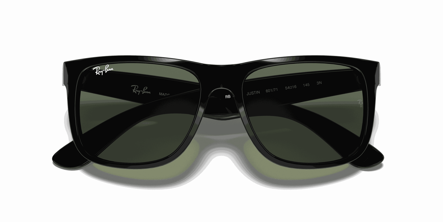 [Dark Green Lenses, Polished Black Frame]