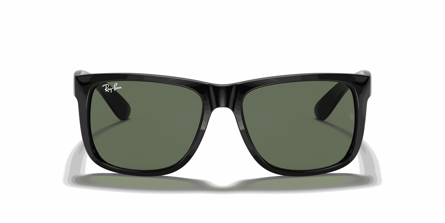 [Dark Green Lenses, Polished Black Frame]
