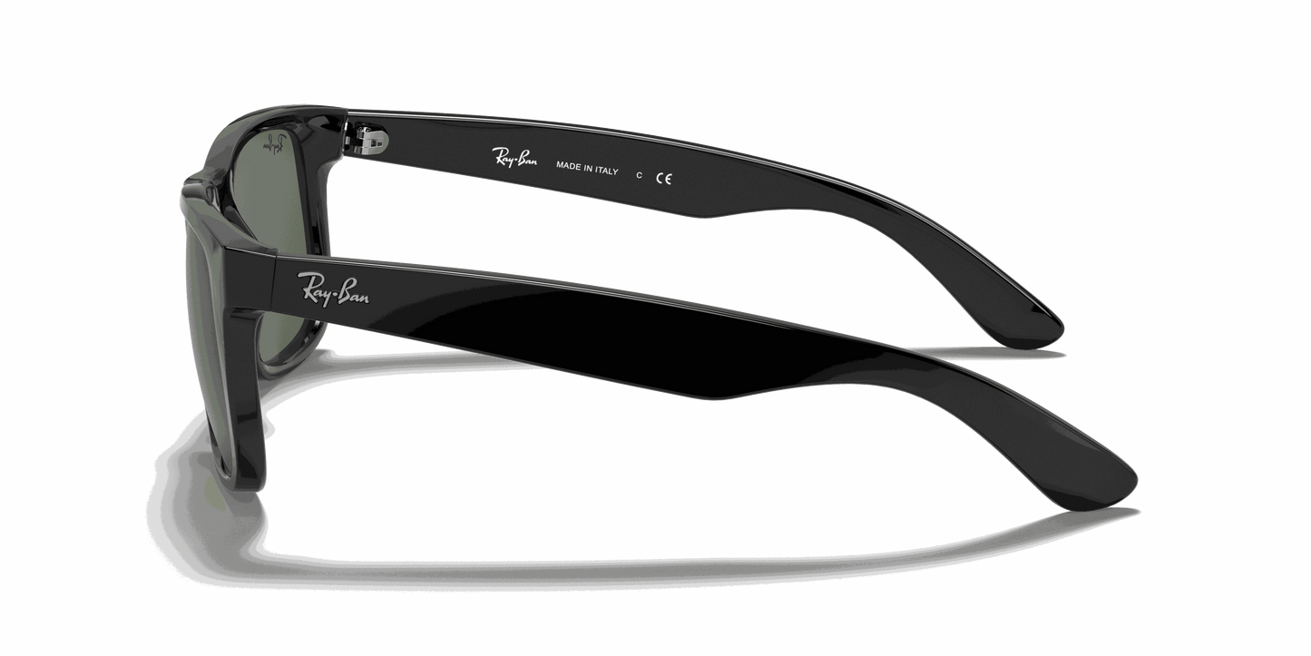 [Dark Green Lenses, Polished Black Frame]