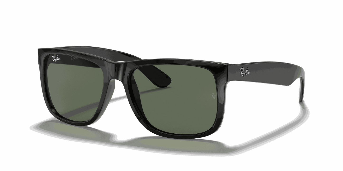[Dark Green Lenses, Polished Black Frame]