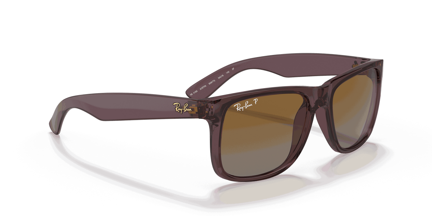 [Brown Lenses, Polished Transparent Dark Brown Frame]