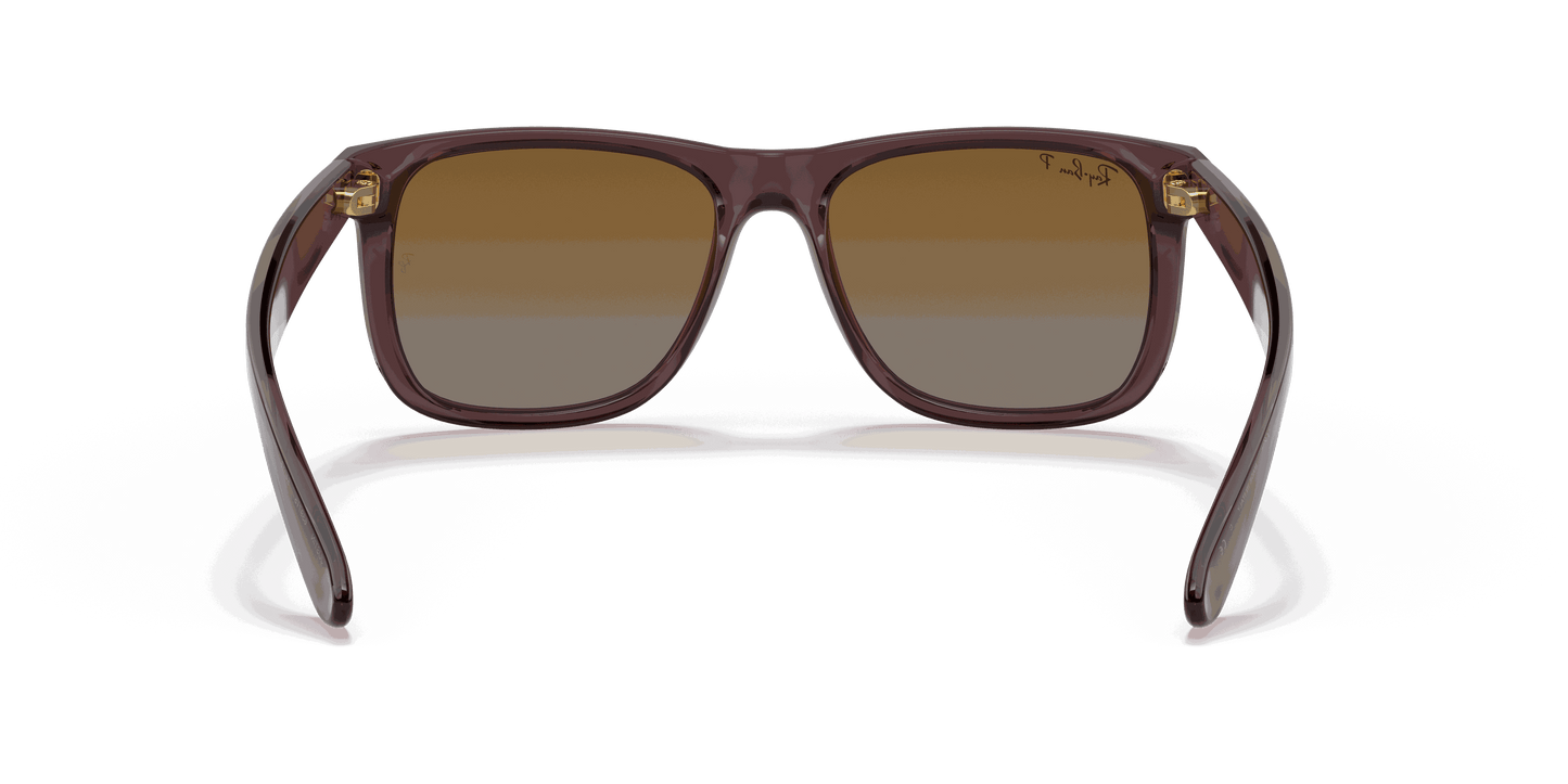 [Brown Lenses, Polished Transparent Dark Brown Frame]