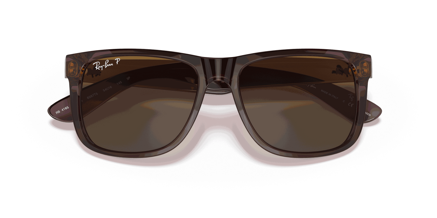 [Brown Lenses, Polished Transparent Dark Brown Frame]