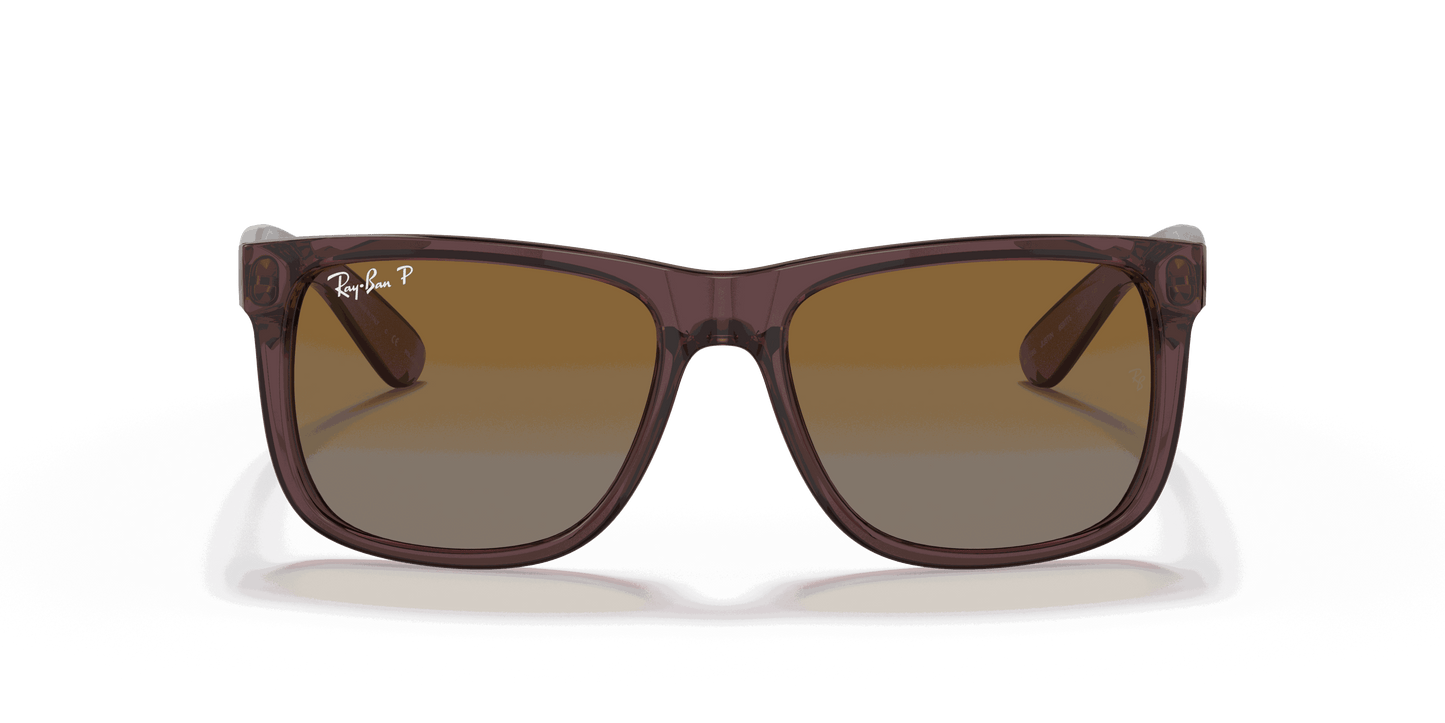 [Brown Lenses, Polished Transparent Dark Brown Frame]