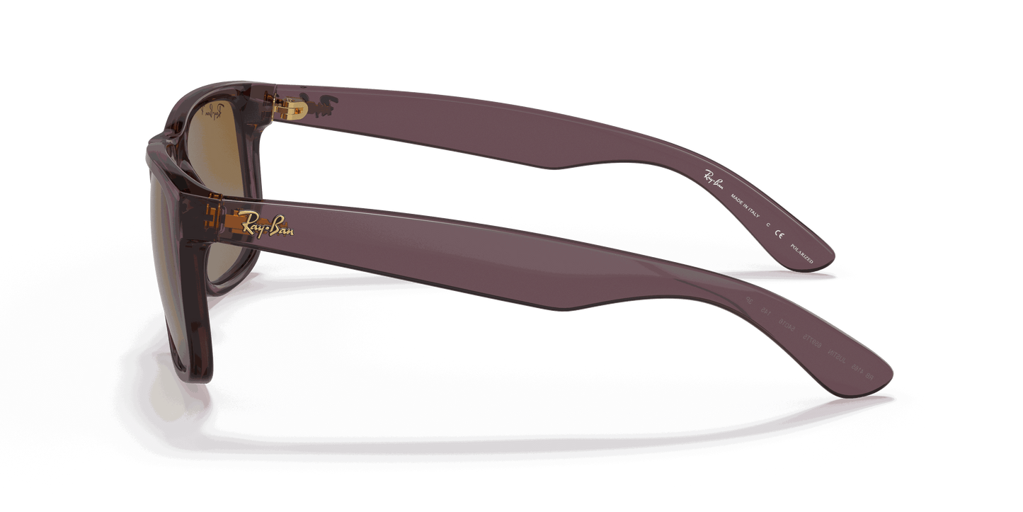[Brown Lenses, Polished Transparent Dark Brown Frame]