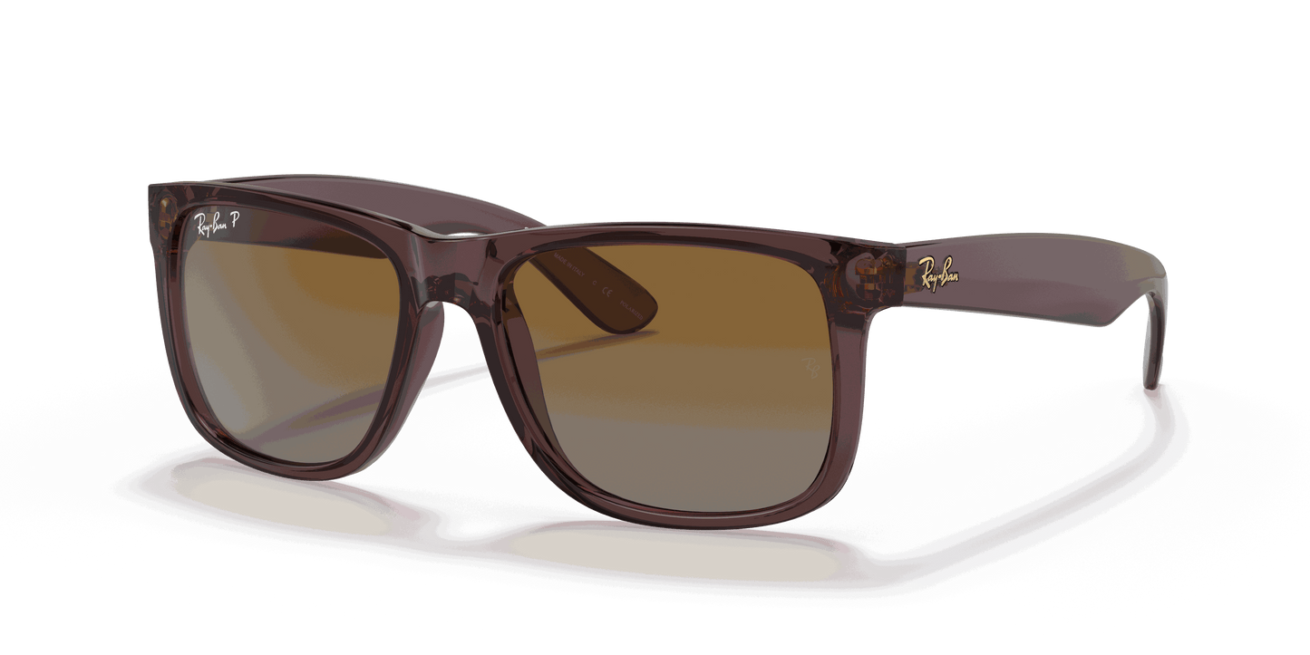 [Brown Lenses, Polished Transparent Dark Brown Frame]