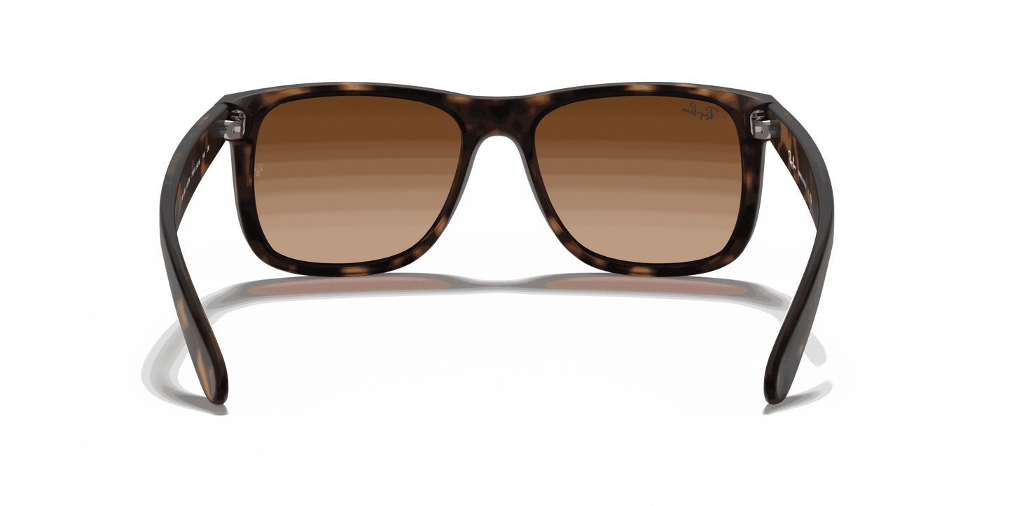 [Dark Brown Lenses, Matte Havana Frame]