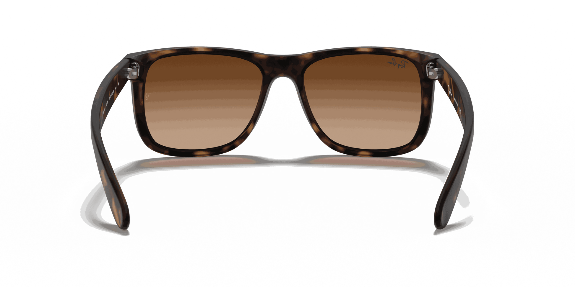 [Dark Brown Lenses, Matte Havana Frame]