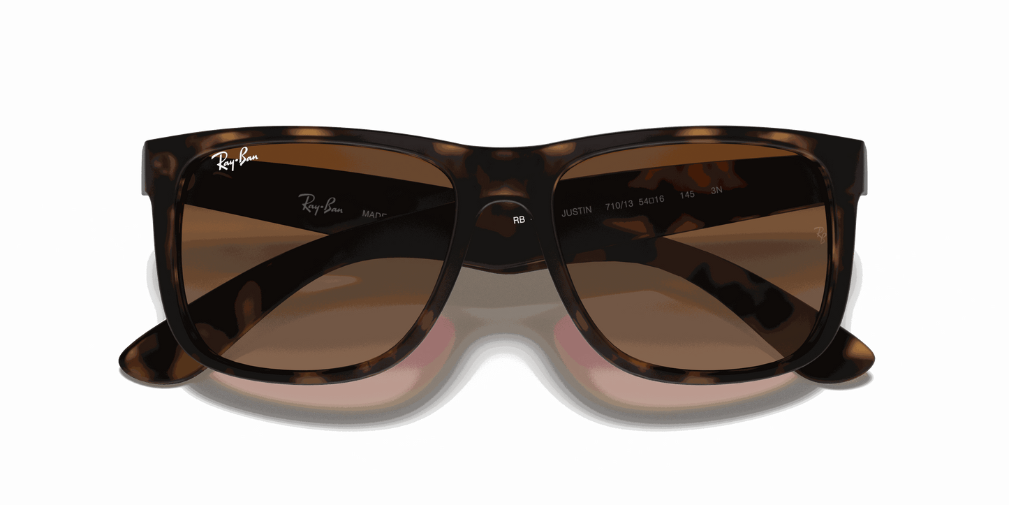 [Dark Brown Lenses, Matte Havana Frame]