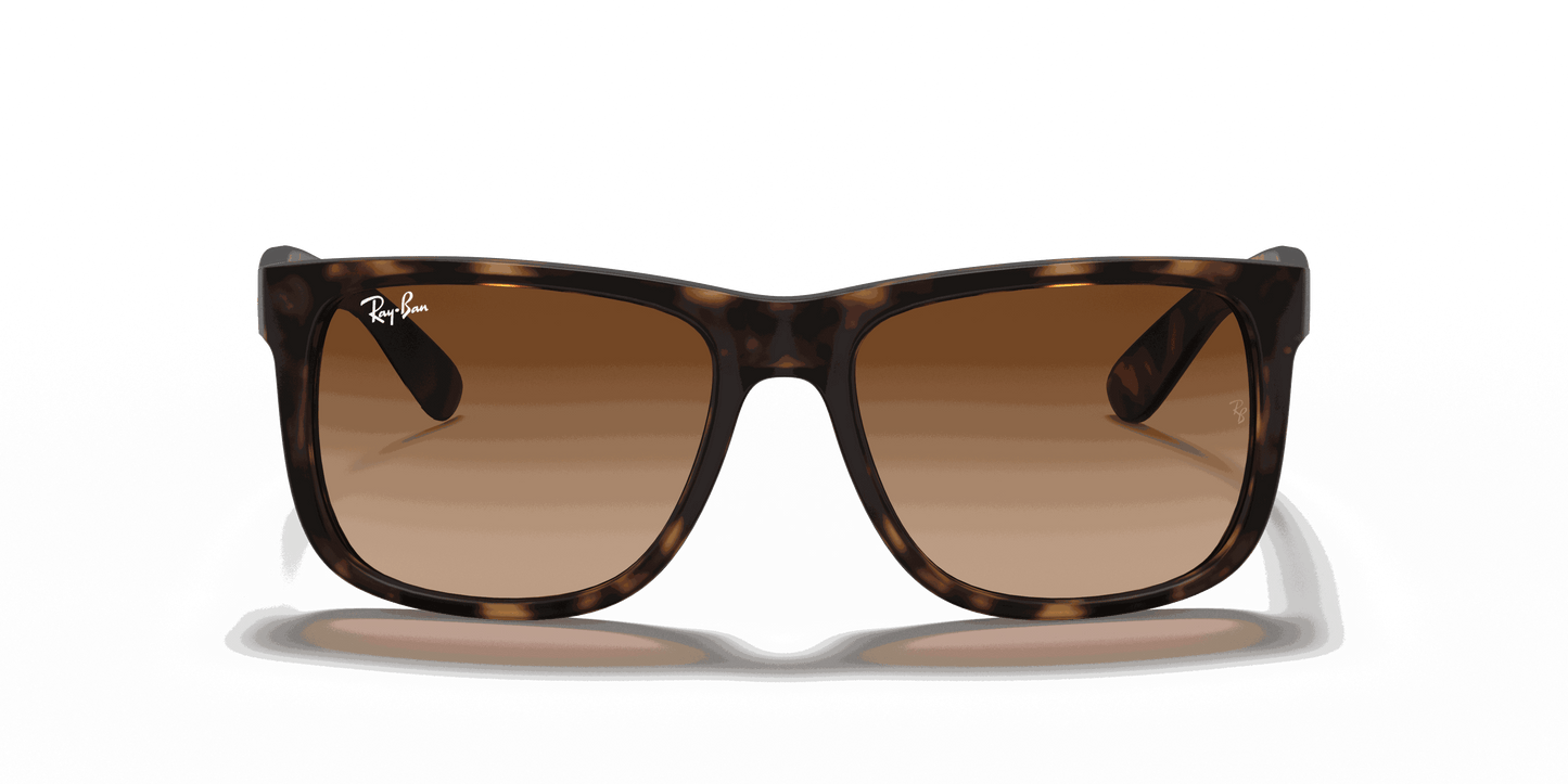 [Dark Brown Lenses, Matte Havana Frame]