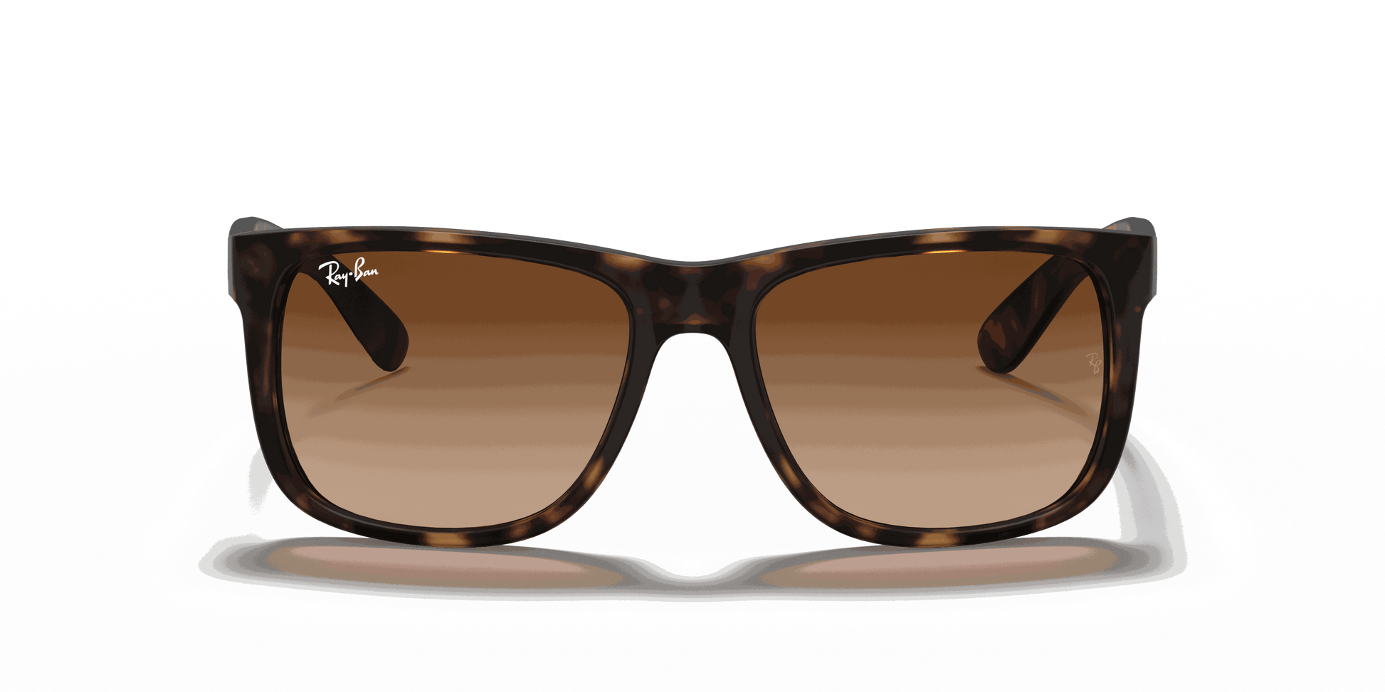 [Dark Brown Lenses, Matte Havana Frame]