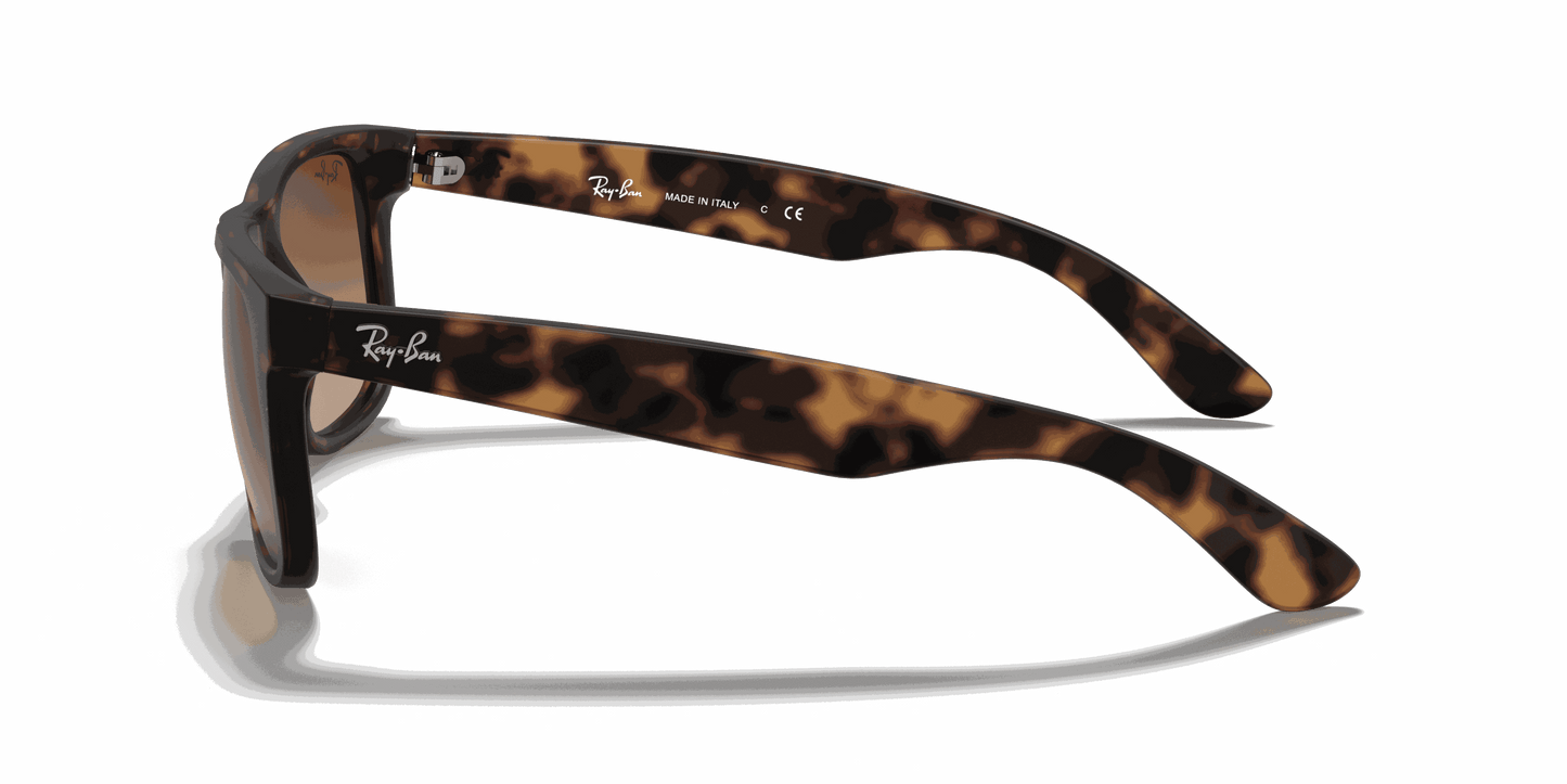 [Dark Brown Lenses, Matte Havana Frame]