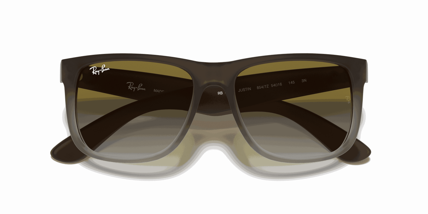 [Green Gradient Lenses, Matte Brown Frame]