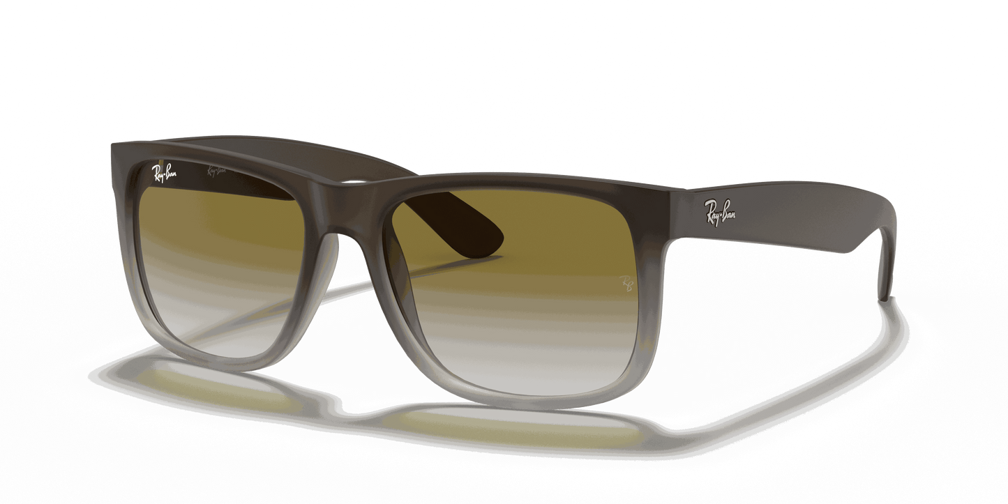 [Green Gradient Lenses, Matte Brown Frame]