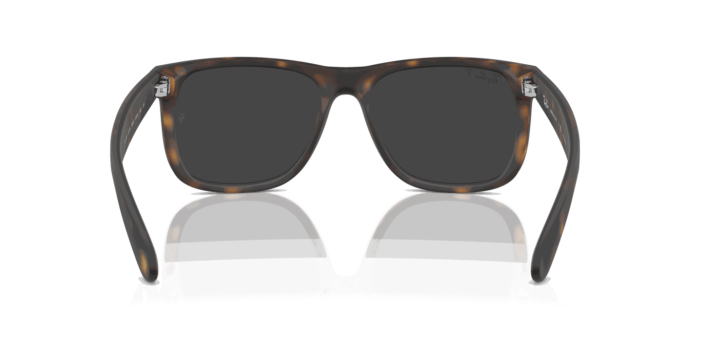 [Dark Grey Lenses, Matte Havana Frame]