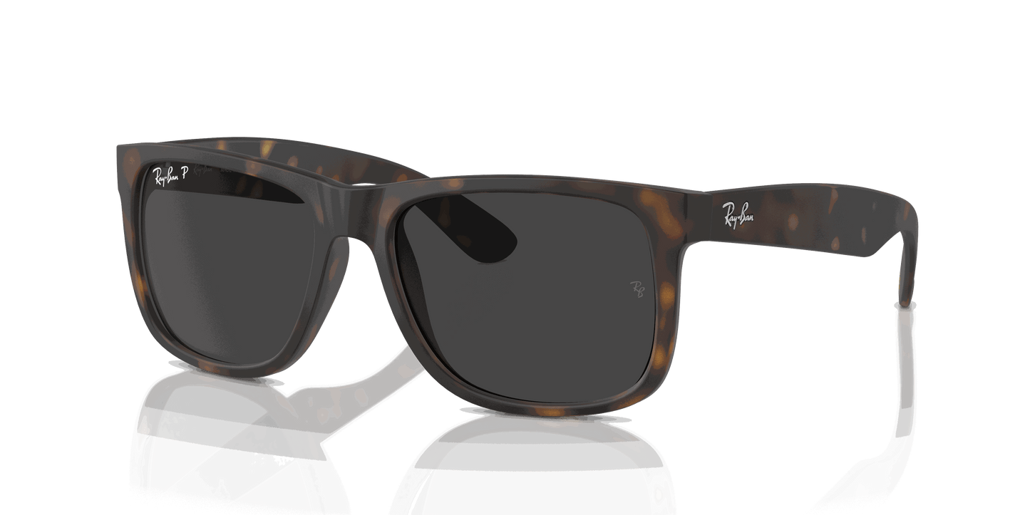 [Dark Grey Lenses, Matte Havana Frame]