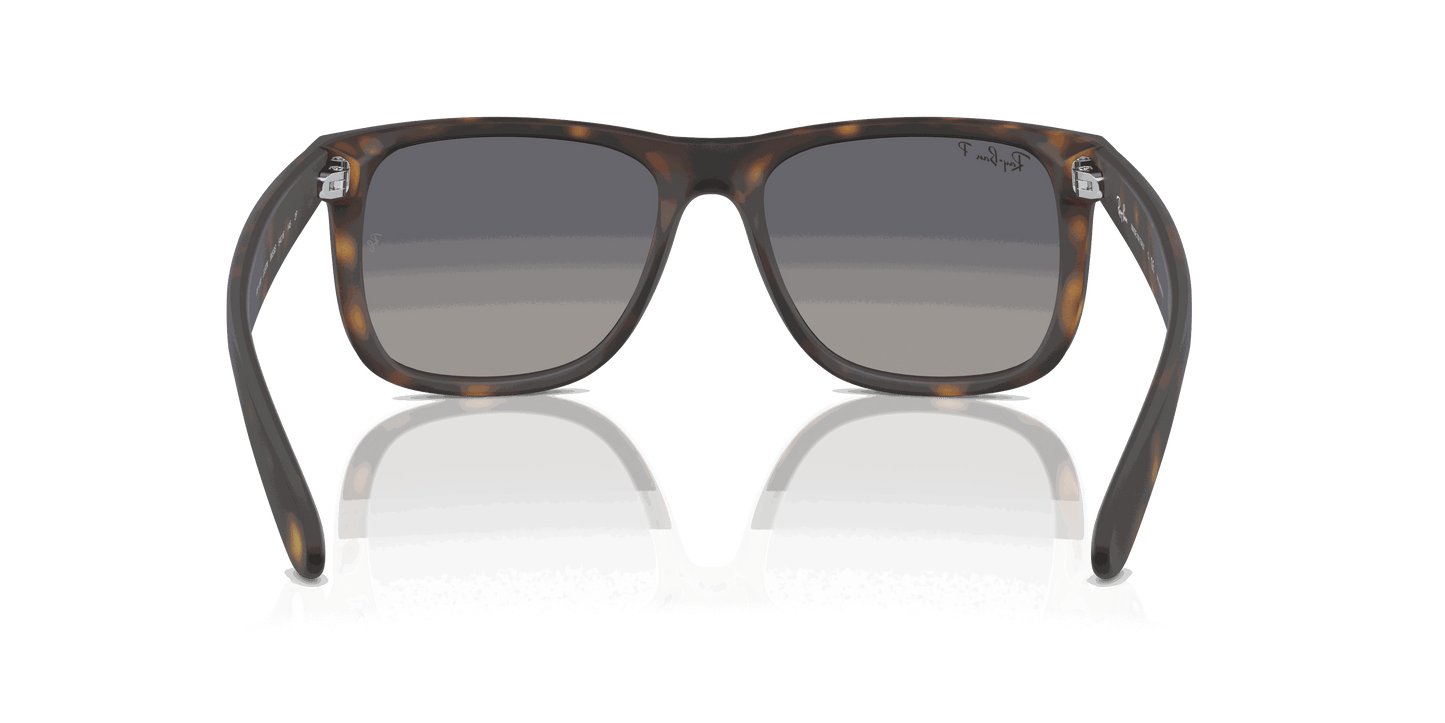 [Blue Lenses, Matte Havana Frame]