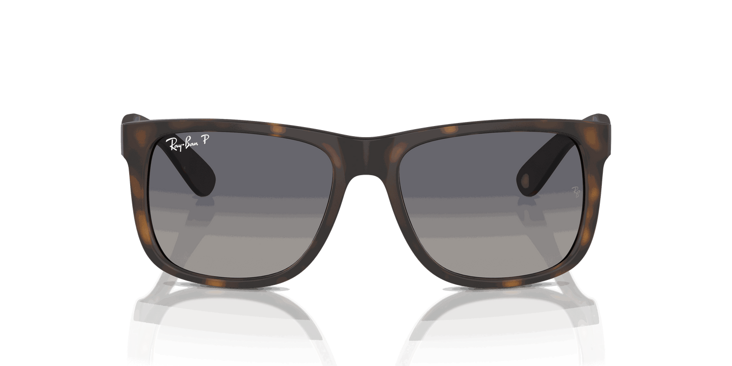 [Blue Lenses, Matte Havana Frame]