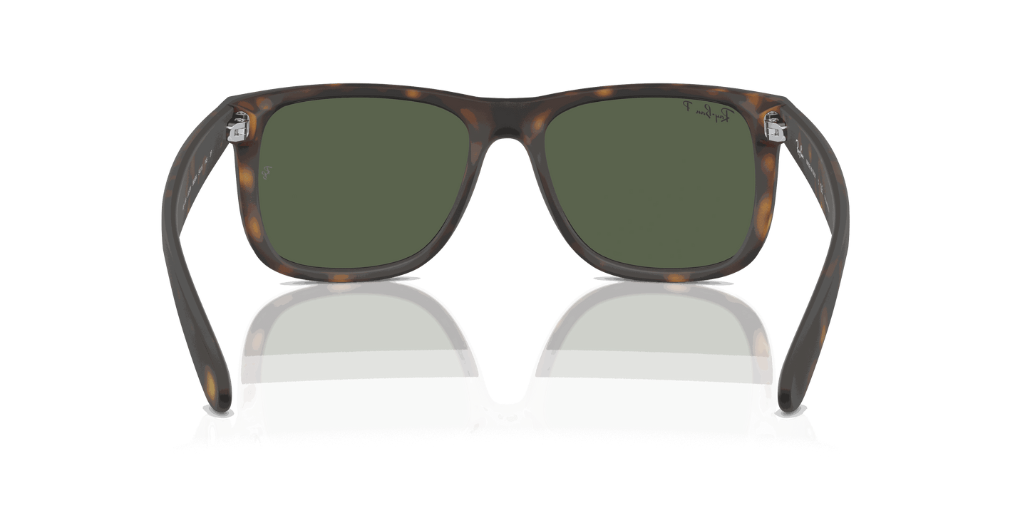 [Dark Green Lenses, Matte Havana Frame]