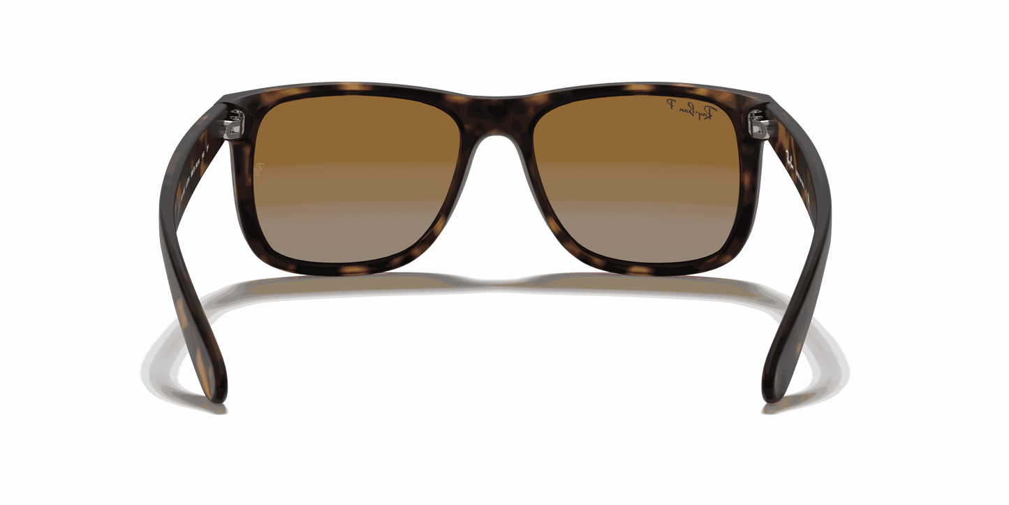[Brown/Grey Lenses, Matte Havana Frame]