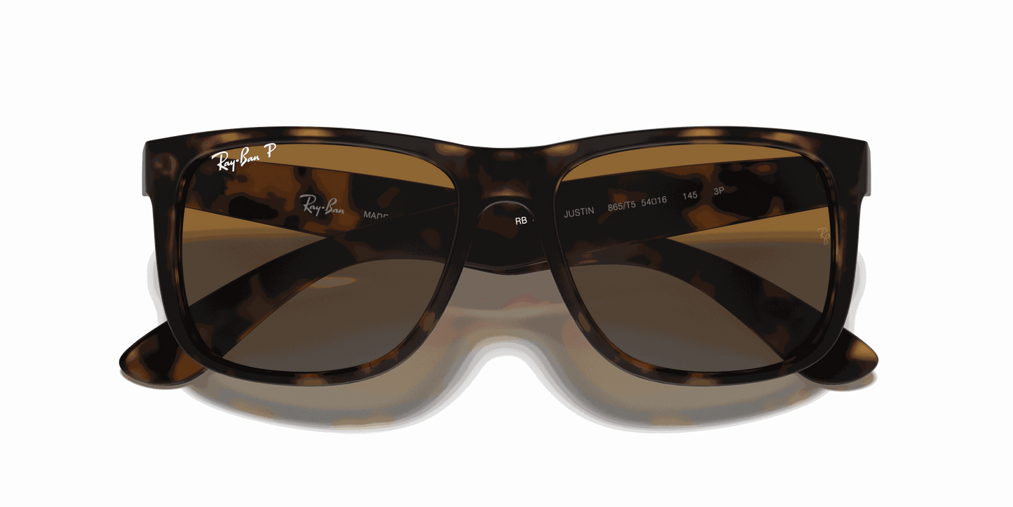 [Brown/Grey Lenses, Matte Havana Frame]