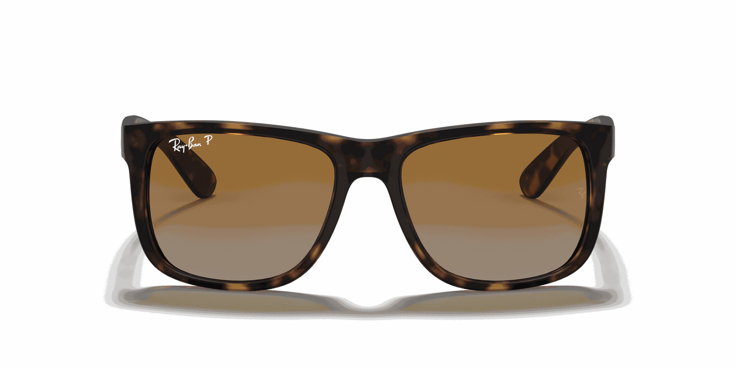 [Brown/Grey Lenses, Matte Havana Frame]