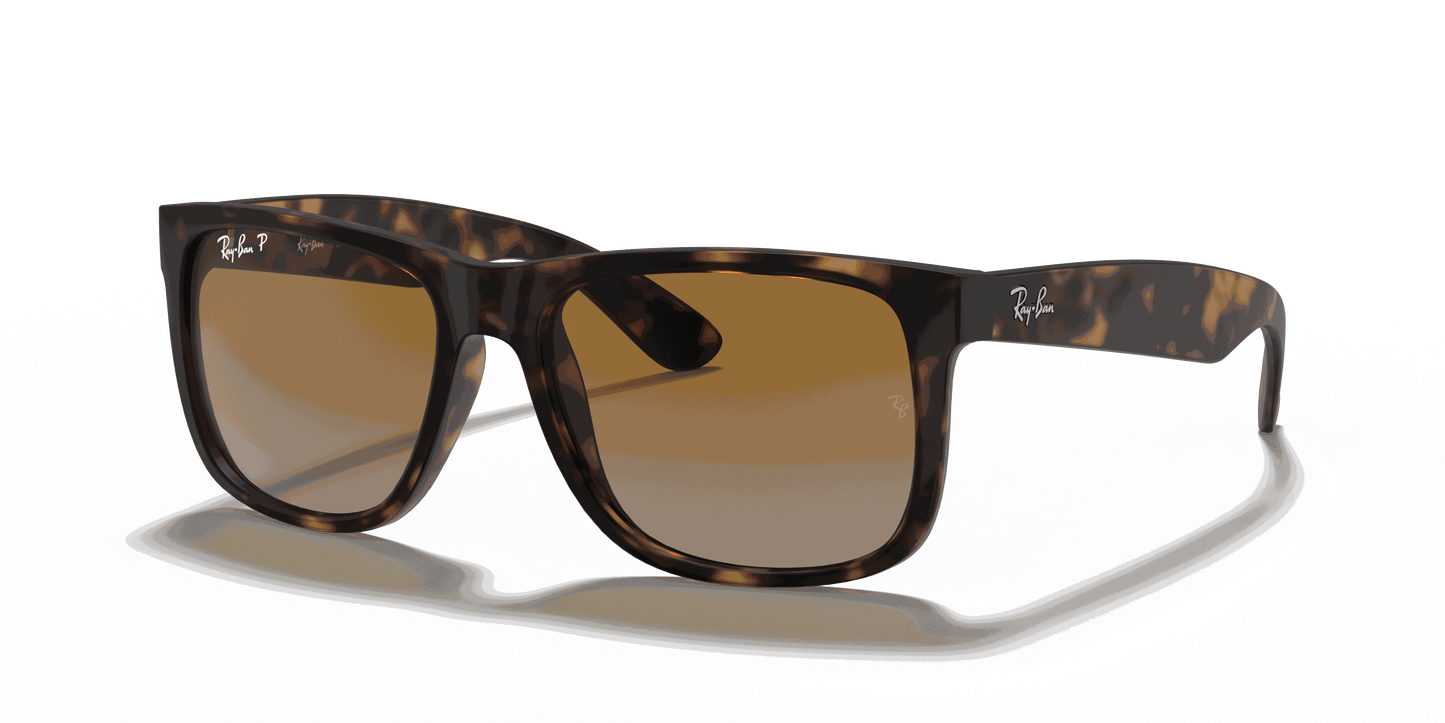 [Brown/Grey Lenses, Matte Havana Frame]