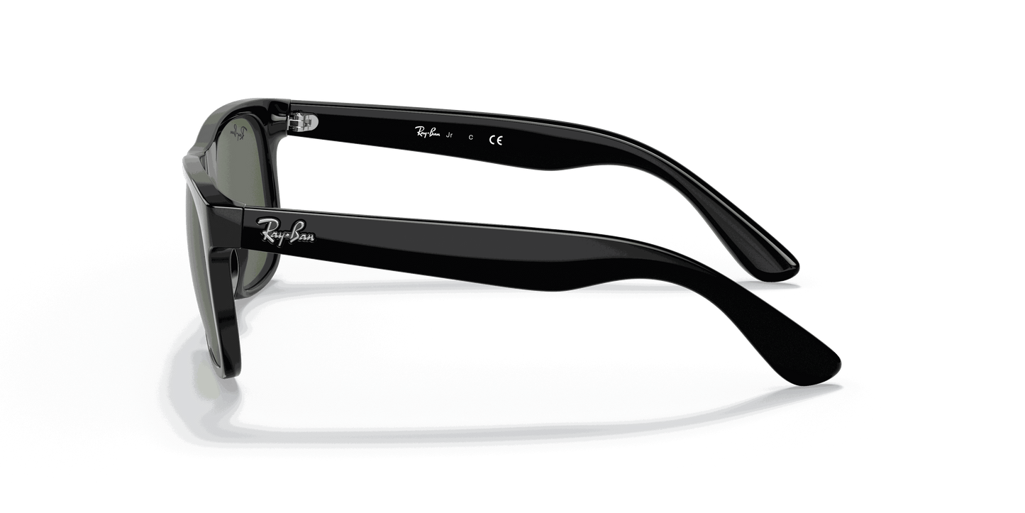 [Dark Green Lenses, Polished Black Frame]