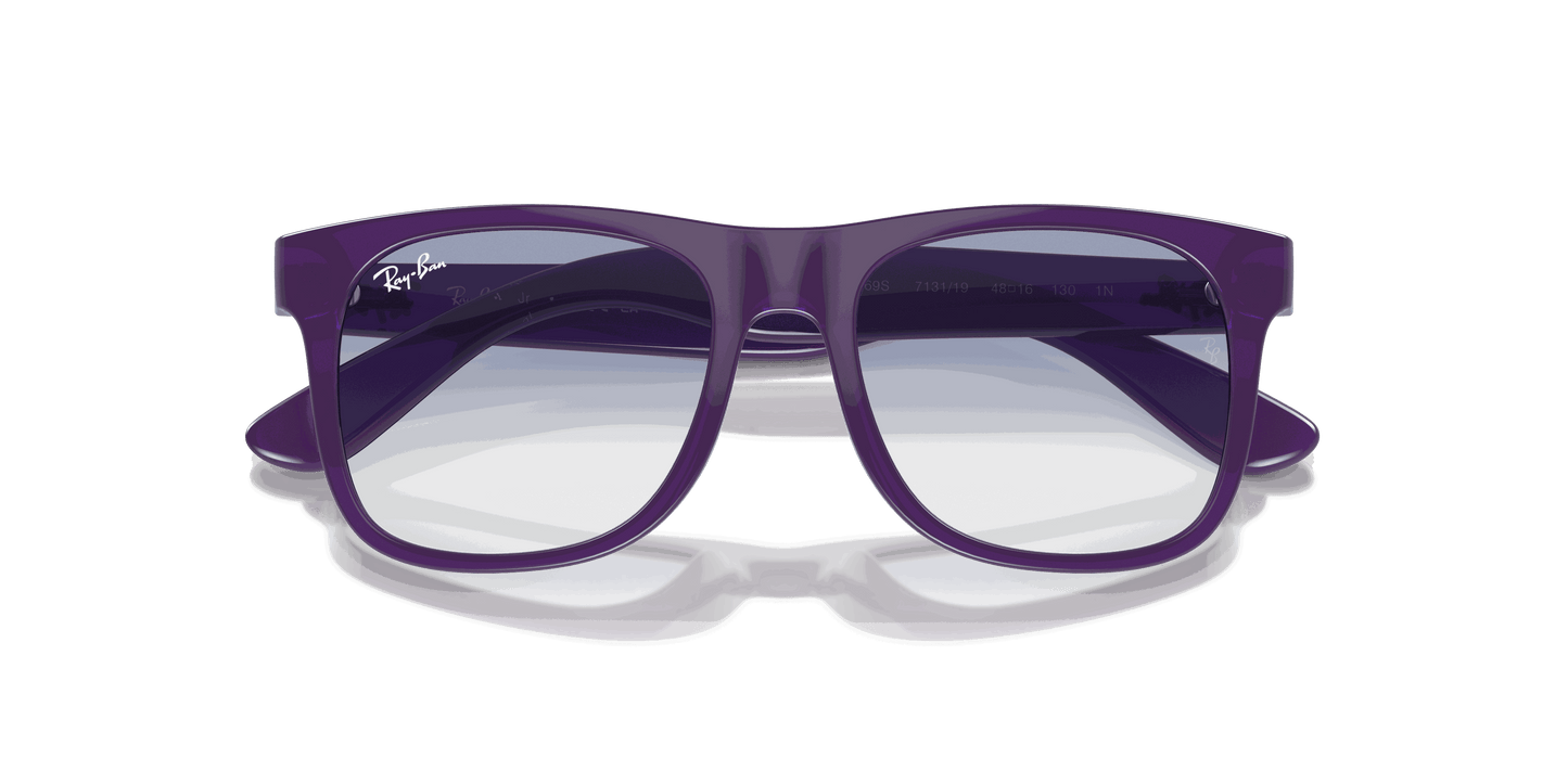 [Blue Lenses, Polished Opal Violet Frame]
