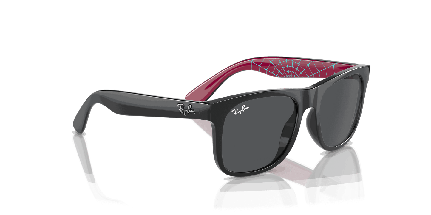 [Dark Grey Lenses, Polished Black Frame]