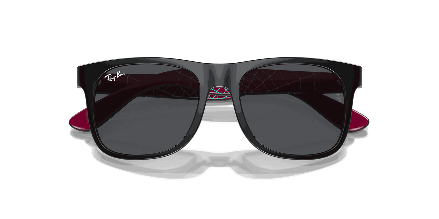 [Dark Grey Lenses, Polished Black Frame]