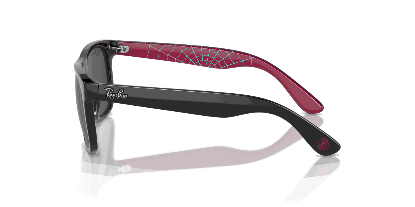 [Dark Grey Lenses, Polished Black Frame]