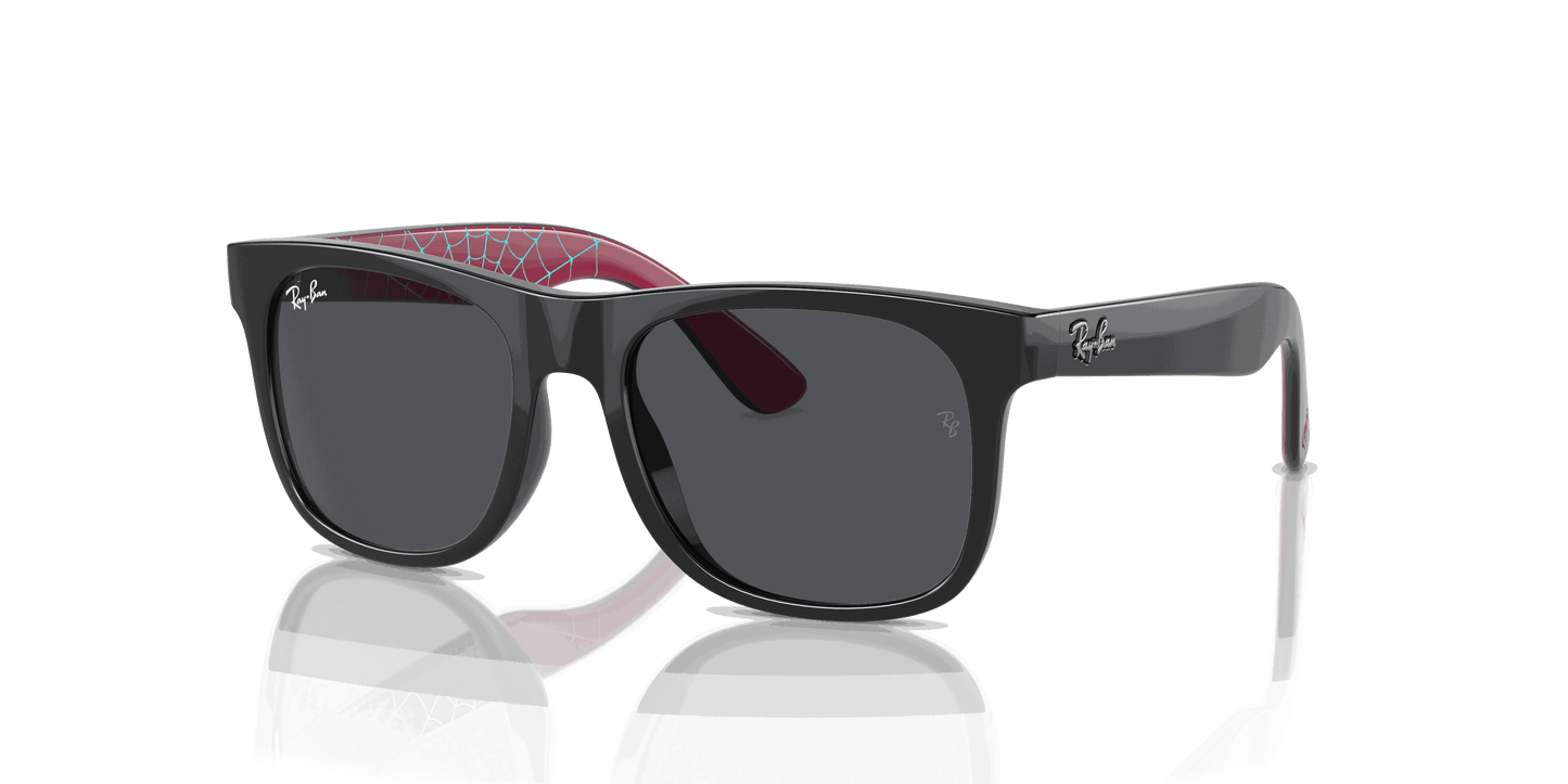 [Dark Grey Lenses, Polished Black Frame]