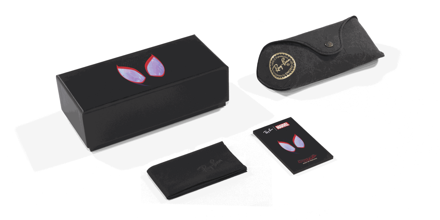 [Dark Grey Lenses, Polished Black Frame]