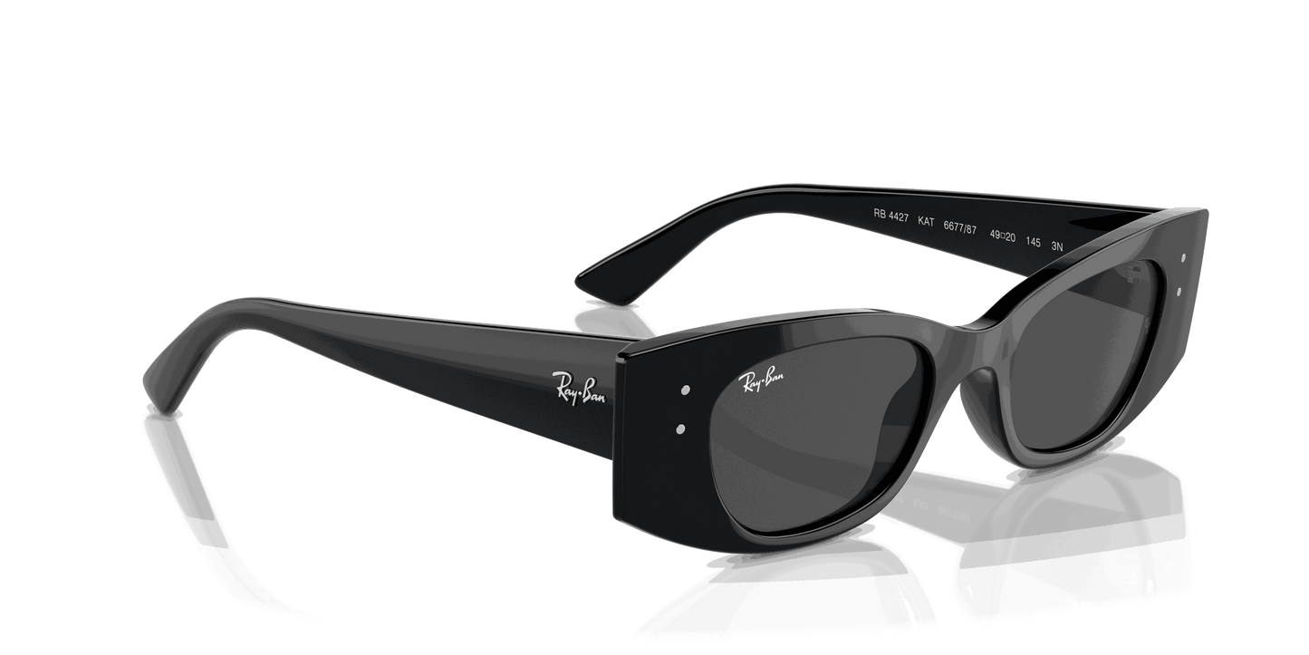 [Dark Grey Lenses, Polished Black Frame]