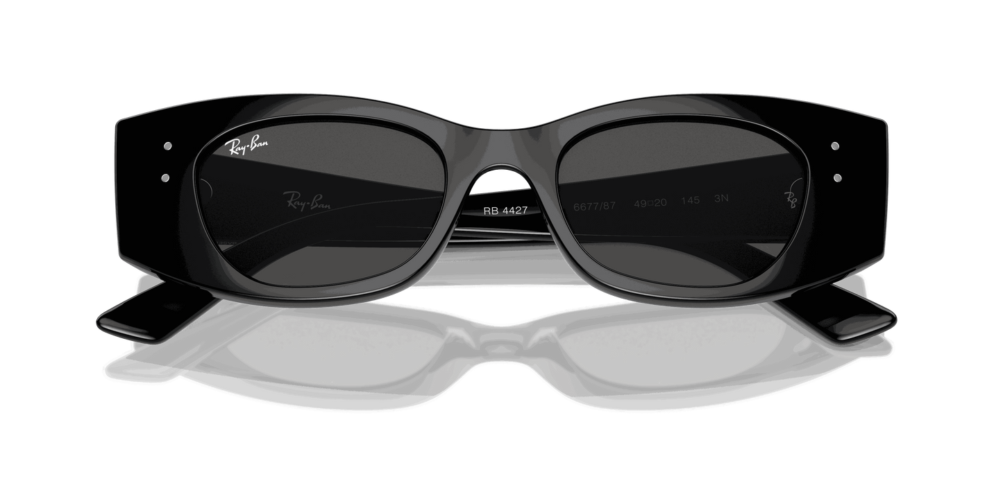 [Dark Grey Lenses, Polished Black Frame]