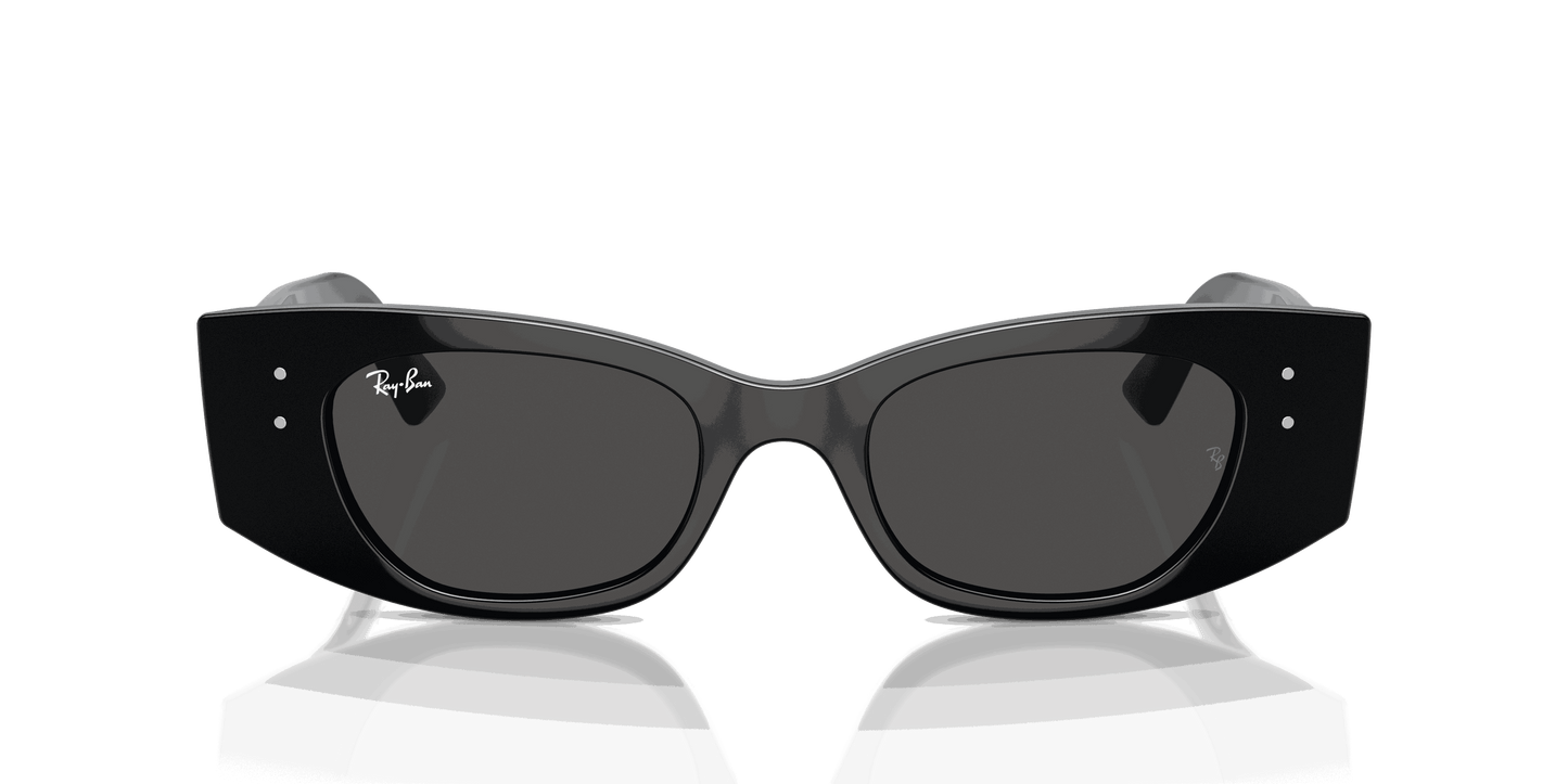 [Dark Grey Lenses, Polished Black Frame]